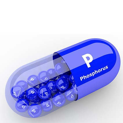 Phosphorus
